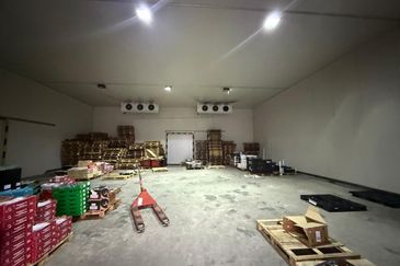 Demak Laut Industrial Park