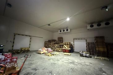 Demak Laut Industrial Park