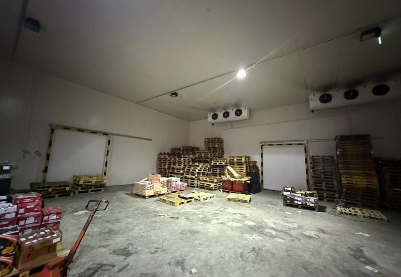 Demak Laut Industrial Park