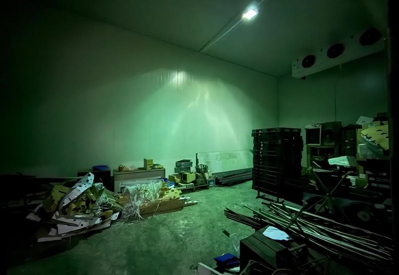 Demak Laut Industrial Park