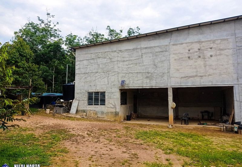 DURIAN PREMIUM LAND FOR SALE LOCATED AT KUALA KANGSAR PERAK FOR SALE