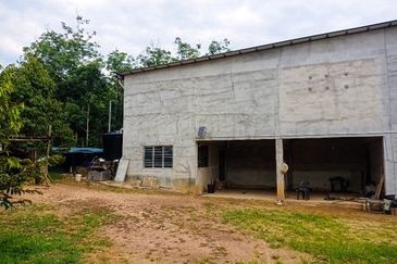 DURIAN PREMIUM LAND FOR SALE LOCATED AT KUALA KANGSAR PERAK FOR SALE