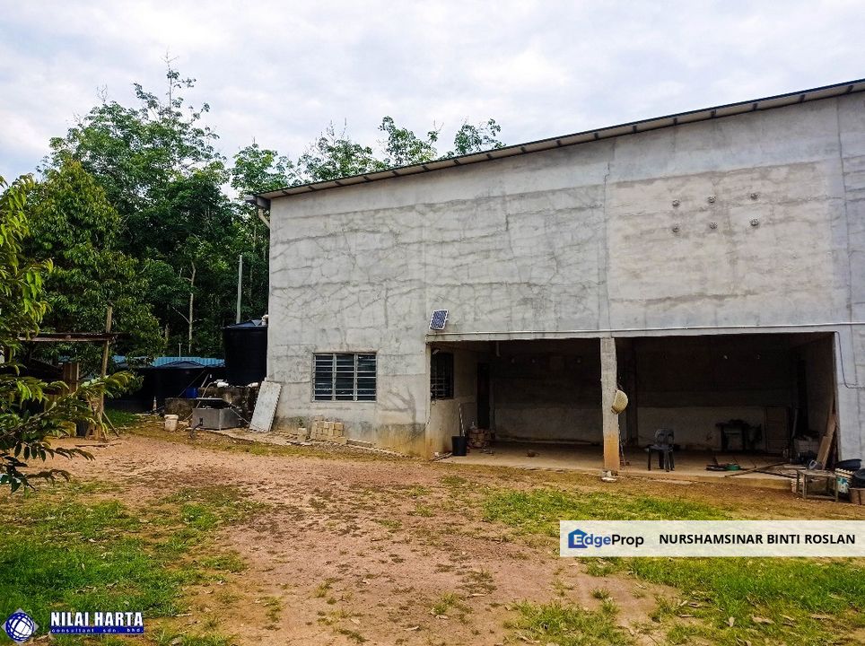 DURIAN PREMIUM LAND FOR SALE LOCATED AT KUALA KANGSAR PERAK FOR SALE, Perak, Kuala Kangsar