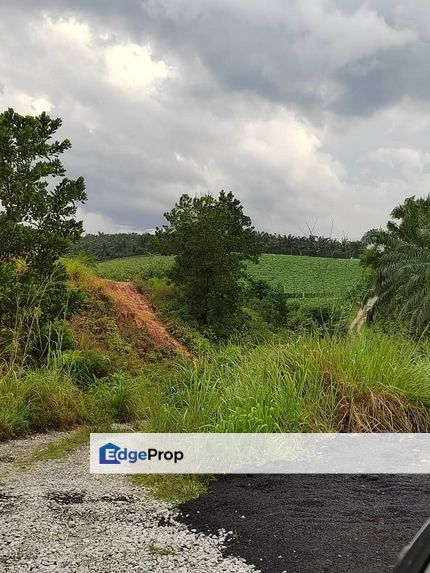 Kulai Agriculture Land For Sale, Johor, Kulai