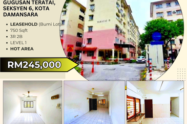 Gugusan Teratai, Seksyen 6 Kota Damansara