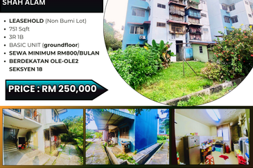 Flat PKNS, Seksyen 18