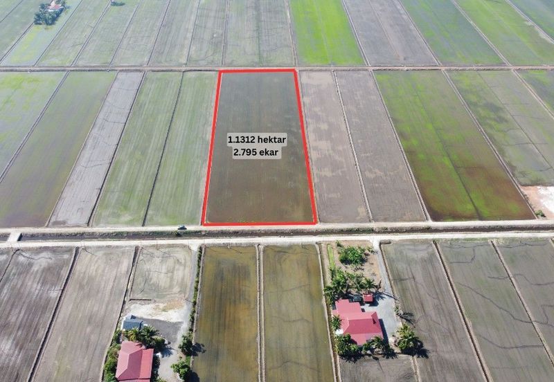 Tanah Sawah 2.795 Tanjong Karang