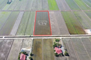 Tanah Sawah 2.795 Tanjong Karang