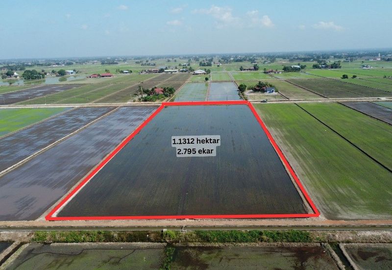 Tanah Sawah 2.795 Tanjong Karang