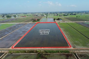 Tanah Sawah 2.795 Tanjong Karang
