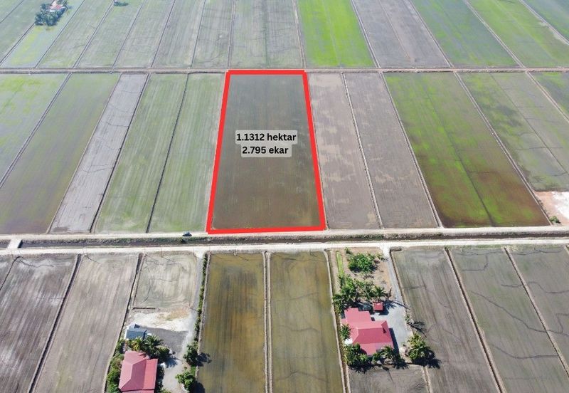 Tanah Sawah 2.795 Tanjong Karang