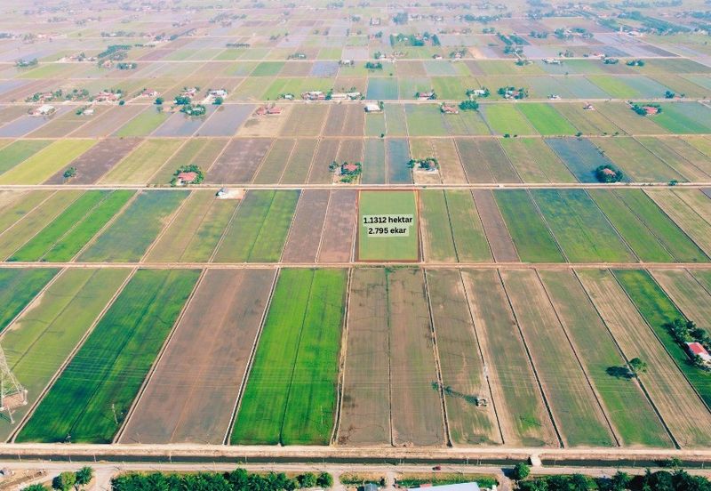 Tanah Sawah 2.795 Tanjong Karang