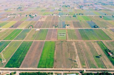 Tanah Sawah 2.795 Tanjong Karang