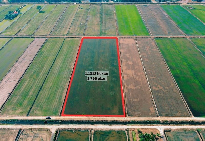 Tanah Sawah 2.795 Tanjong Karang