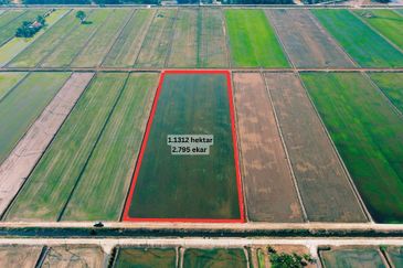 Tanah Sawah 2.795 Tanjong Karang