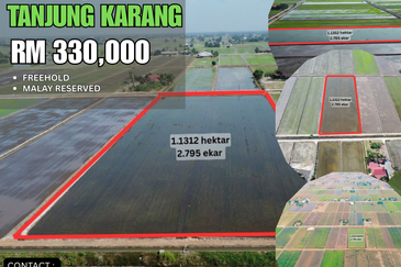Tanah Sawah 2.795 Tanjong Karang