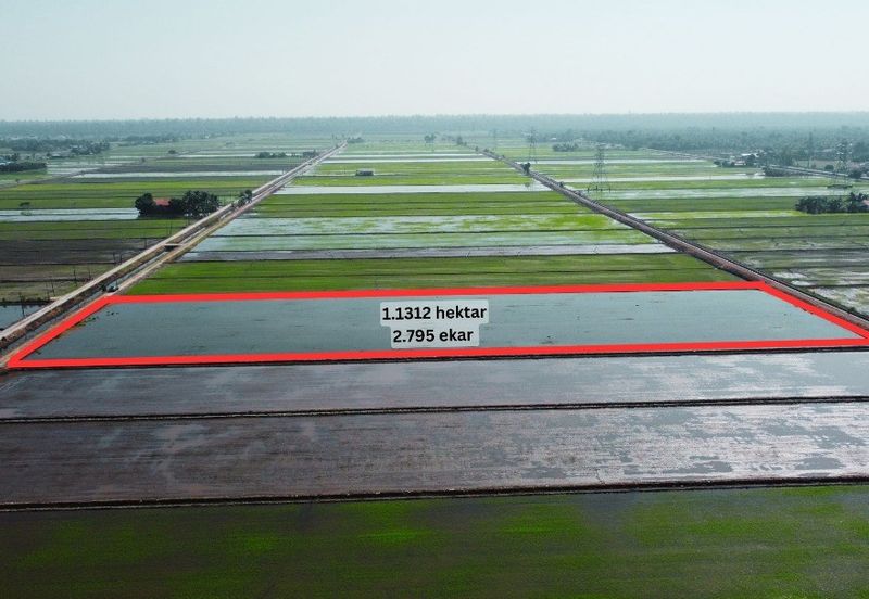 Tanah Sawah 2.795 Tanjong Karang