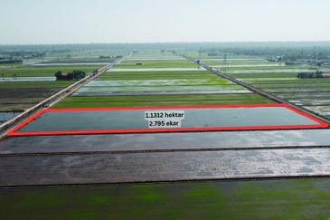 Tanah Sawah 2.795 Tanjong Karang