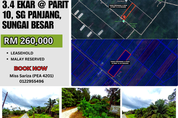 MURAH TANAH PERTANIAN 3.4 EKAR di Parit 10, Sg Panjang Sabak Bernam