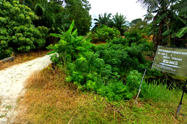 MURAH TANAH PERTANIAN 3.4 EKAR di Parit 10, Sg Panjang Sabak Bernam