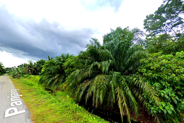 MURAH TANAH PERTANIAN 3.4 EKAR di Parit 10, Sg Panjang Sabak Bernam