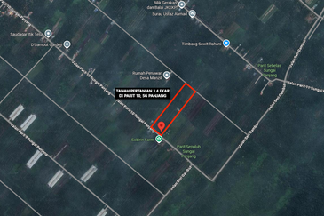 MURAH TANAH PERTANIAN 3.4 EKAR di Parit 10, Sg Panjang Sabak Bernam
