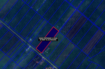 MURAH TANAH PERTANIAN 3.4 EKAR di Parit 10, Sg Panjang Sabak Bernam