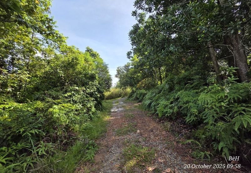 TANAH LOT BUNGALOW Taman Desa Permai Bdr Baru Gua Musang