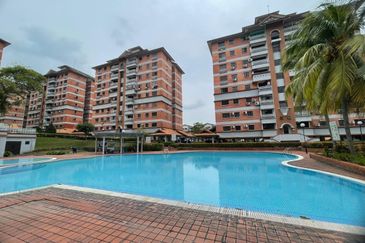 Evergreen Park Acorn and Hazel