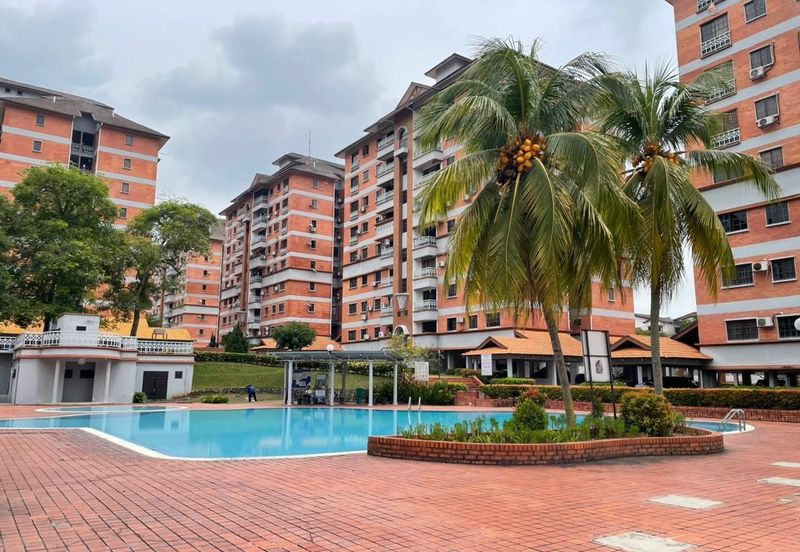 Evergreen Park Acorn and Hazel