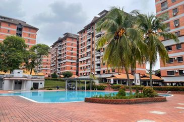 Evergreen Park Acorn and Hazel