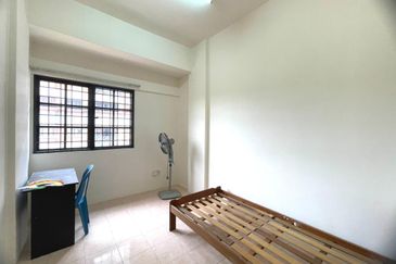 Evergreen Park Acorn and Hazel