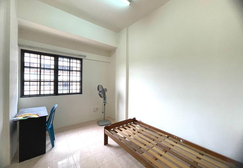 Evergreen Park Acorn and Hazel