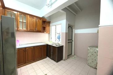 Evergreen Park Acorn and Hazel