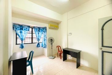 Evergreen Park Acorn and Hazel