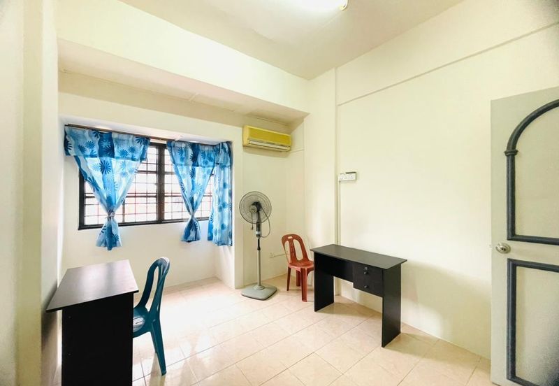 Evergreen Park Acorn and Hazel