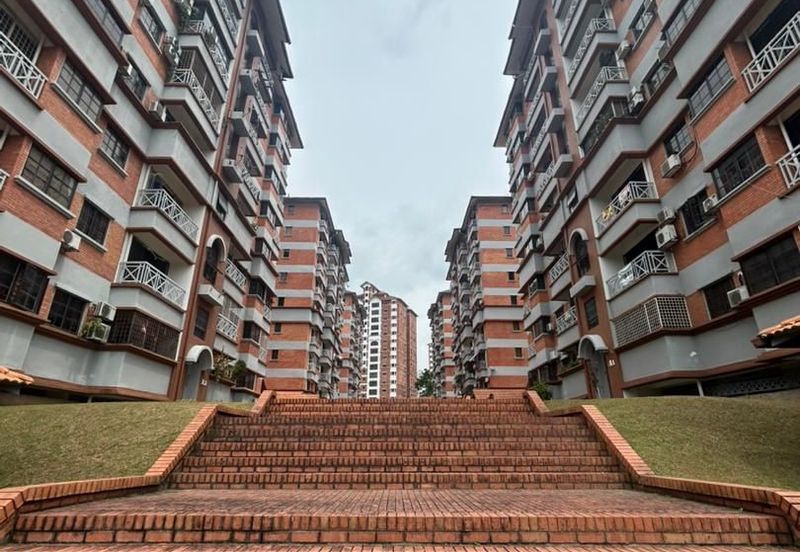 Evergreen Park Acorn and Hazel