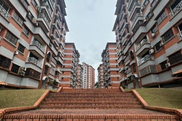 Evergreen Park Acorn and Hazel