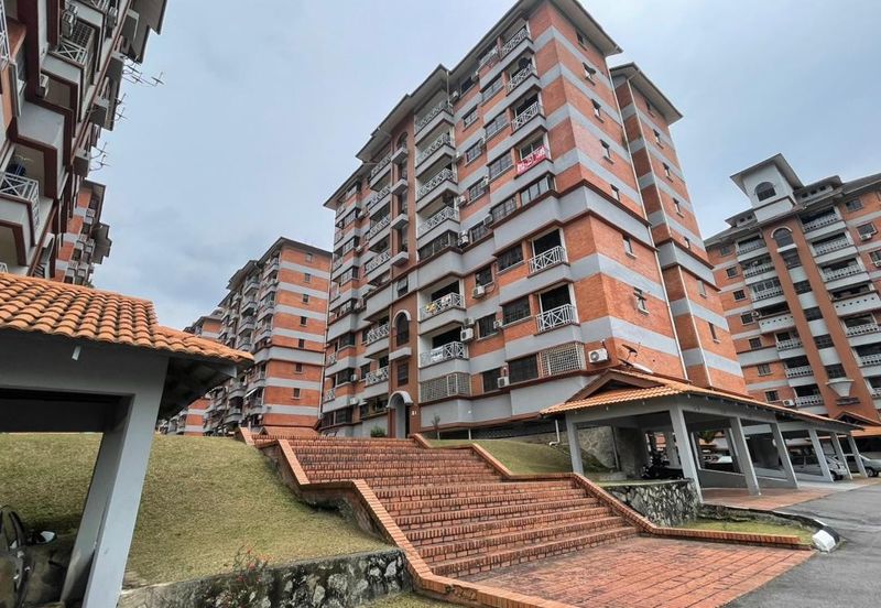Evergreen Park Acorn and Hazel