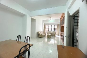 Evergreen Park Acorn and Hazel