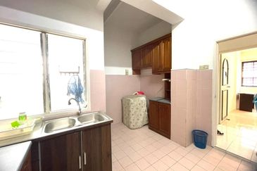 Evergreen Park Acorn and Hazel