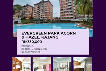 Evergreen Park Acorn and Hazel