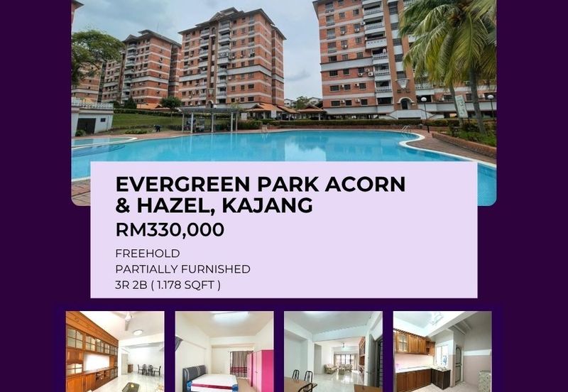 Evergreen Park Acorn and Hazel