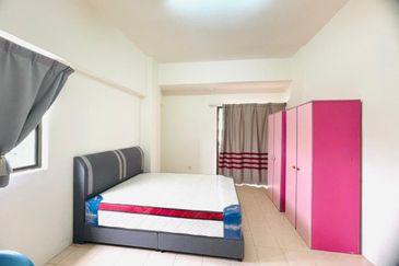 Evergreen Park Acorn and Hazel