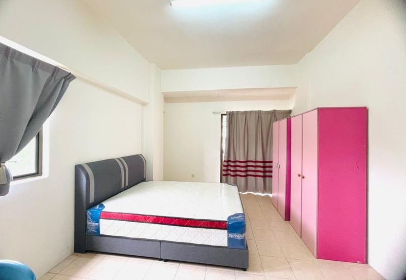 Evergreen Park Acorn and Hazel