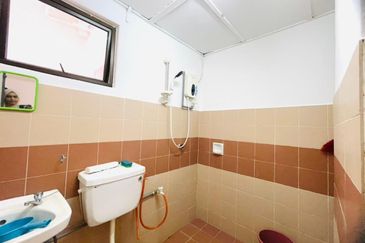 Evergreen Park Acorn and Hazel