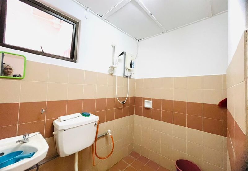 Evergreen Park Acorn and Hazel