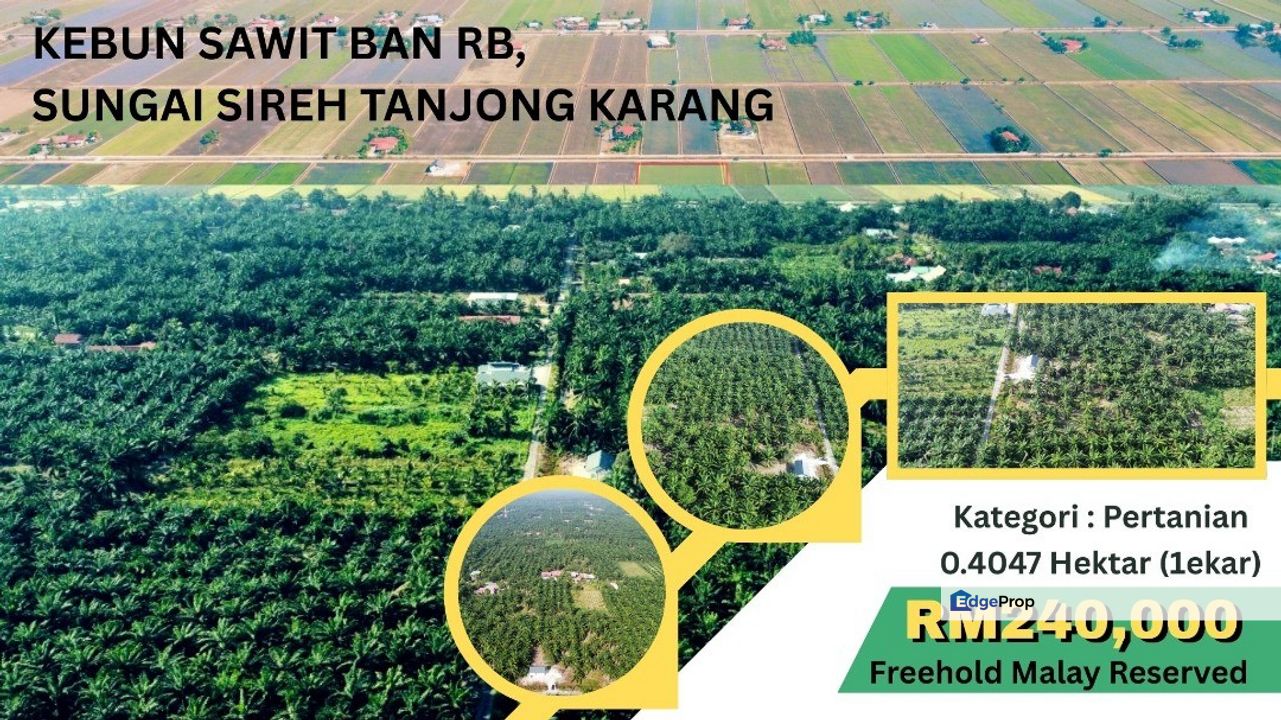  1 Ekar Tanah Sawit BAN RB, Sg Sireh Tanjung Karang, Selangor, Tanjong Karang 