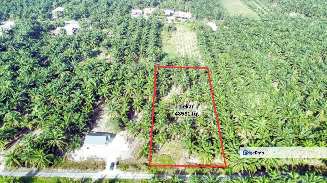  1 Ekar Tanah Sawit BAN RB, Sg Sireh Tanjung Karang, Selangor, Tanjong Karang 