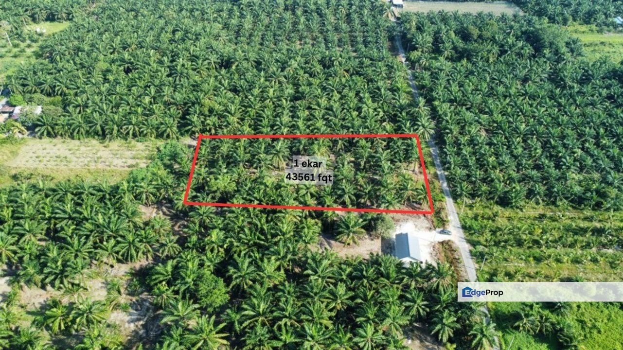  1 Ekar Tanah Sawit BAN RB, Sg Sireh Tanjung Karang, Selangor, Tanjong Karang 
